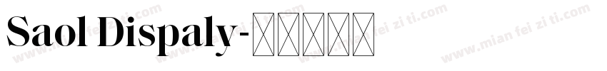 Saol Dispaly字体转换